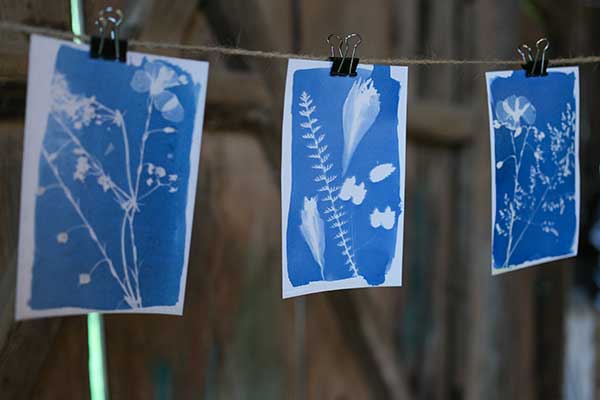 Atelier cyanotype